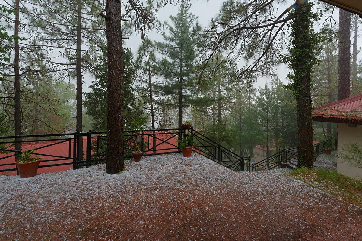 Отель Arcadian Blue Pines Муррее Экстерьер фото
