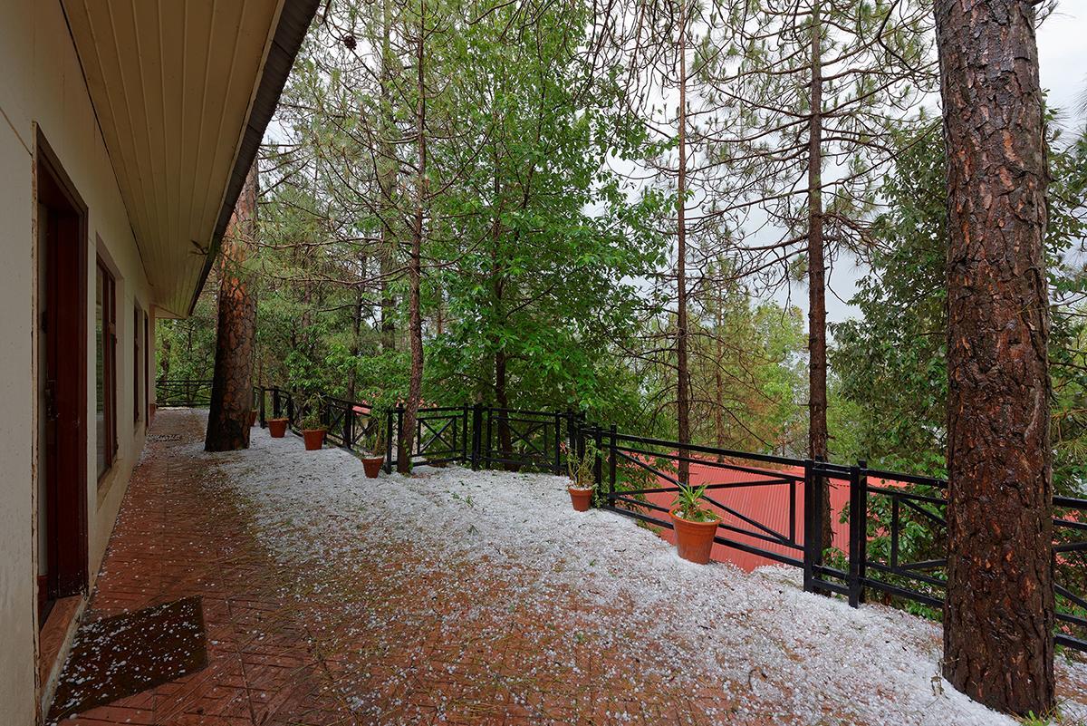 Отель Arcadian Blue Pines Муррее Экстерьер фото